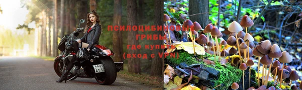 амфетамин Белокуриха